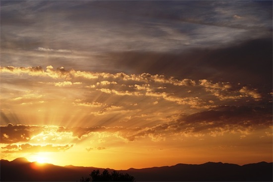 抖音上的流行句子84句