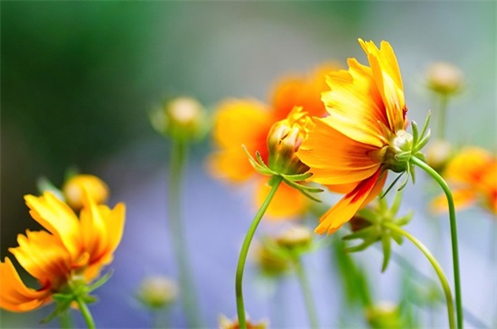 为什么农村的老人说过了12点，听到有人敲门千万不要开？