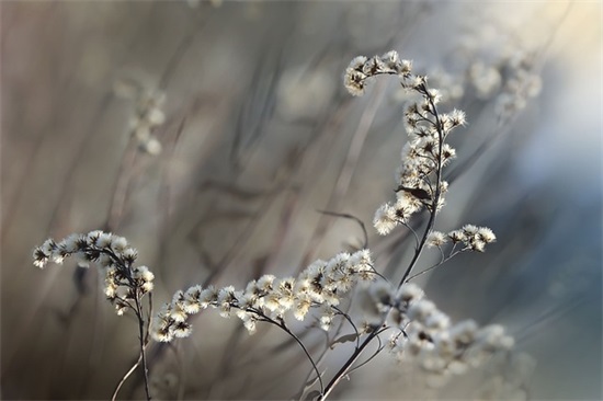 为什么古希腊人如此崇尚体育竞技？