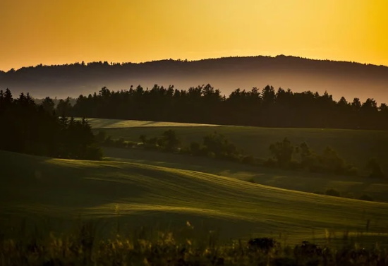 为什么刘晓庆结婚4次却没生下小孩老梁一语道破原因，一针见血