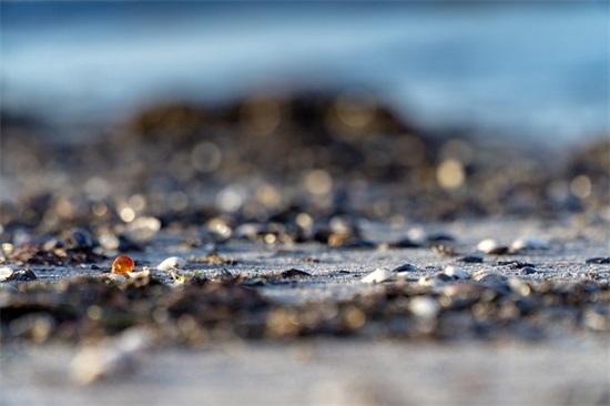 为什么十五的月亮十六圆：揭秘月球的盈亏与相位