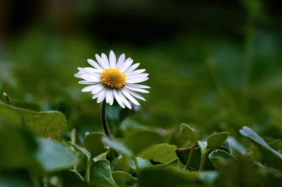 公司起名八大注意事项