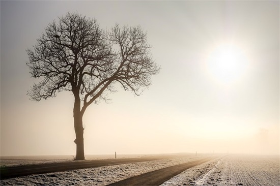 qq飞车名字大全2025最新版的