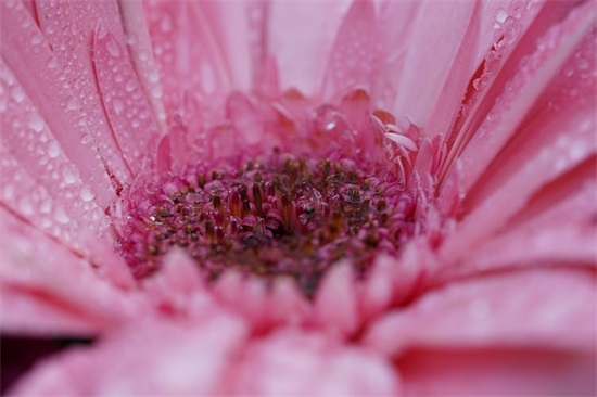 关于夏天的清新网名(精选127个)