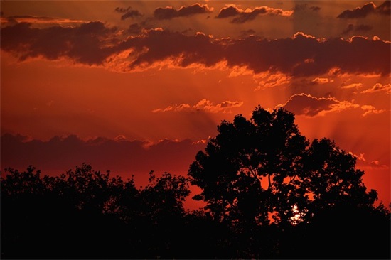 理科班班级口号 理科班班级口号16字