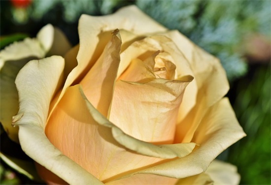 安全急救宣传标语69句