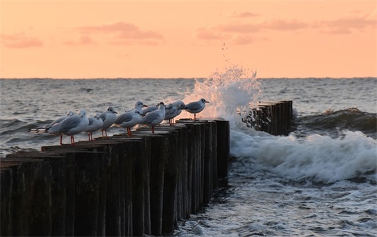 青春期口号81句