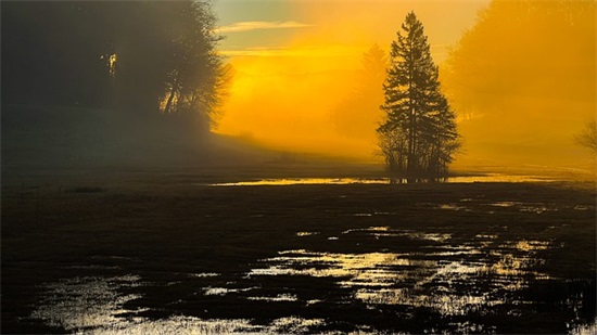 学校秋季运动会口号押韵简短