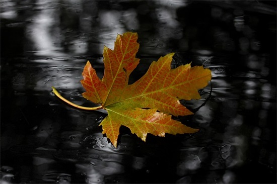 小学生劳动口号 爱劳动的句子板报内容