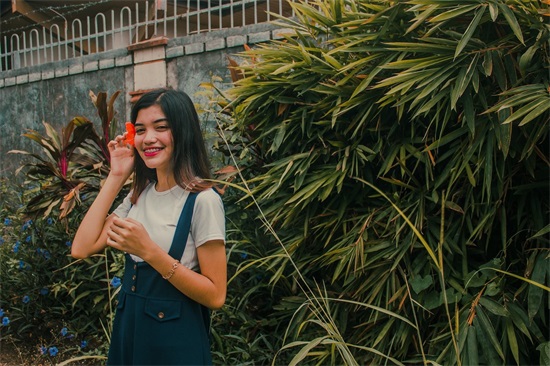 西南五省是哪五省啊