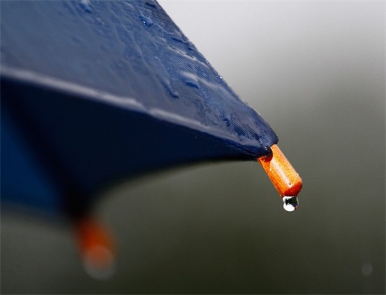 已经投档是什么意思？录取可能性是多少，已经投档是什么意思呀