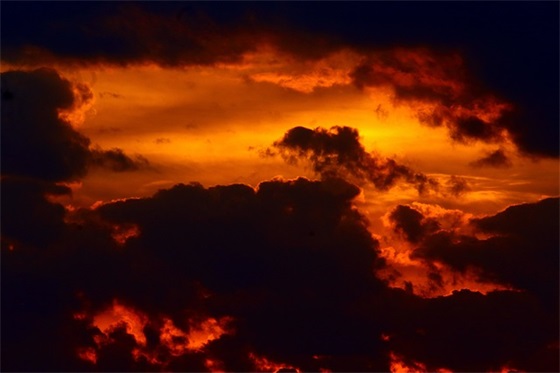 野心勃勃是什么生肖动物 野心勃勃是成语吗