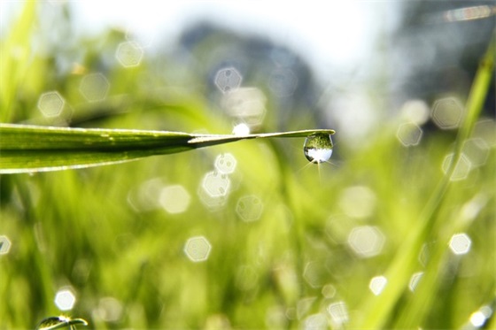 股神巴菲特投资名言 股神巴菲特投资名言