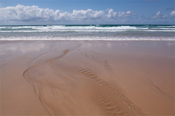 励志说说大全，生活是甜的苦的酸涩的，但不能是没味的