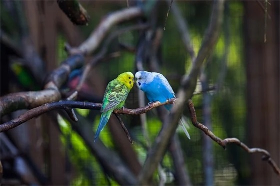 收到公司送的生日礼物感谢的话