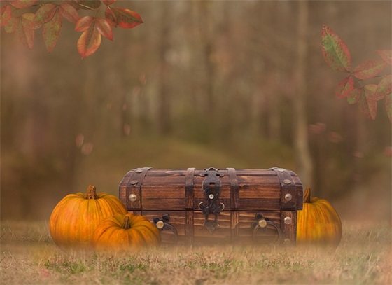 超然青春励志句子，最好的总在未来等着你