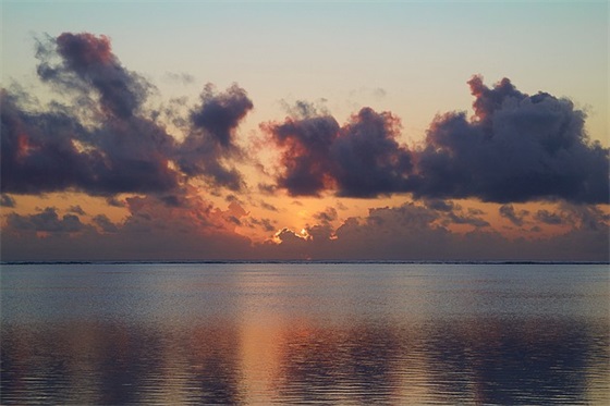 带木的网名昵称男生