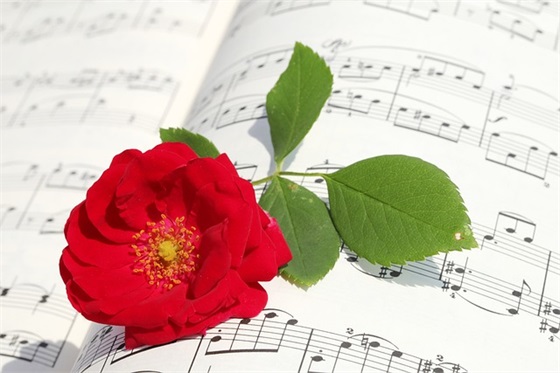 带木的好的网名男孩