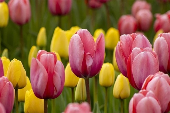 带木溪的的网名