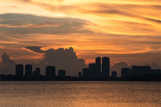 带木字的网名字大全