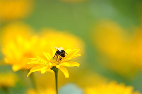带木和涵字的网名
