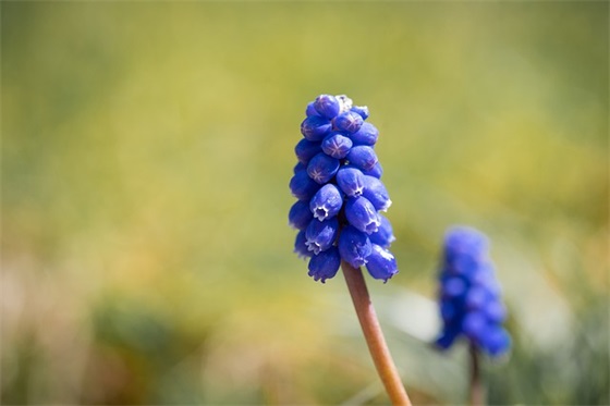 带墨的励志名字女生网名