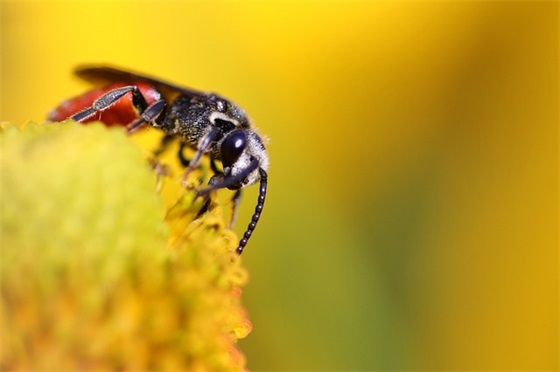 带墨的六字网名