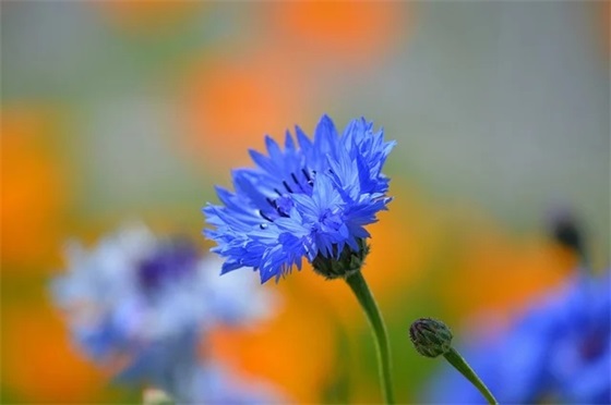 带墨字的男网名