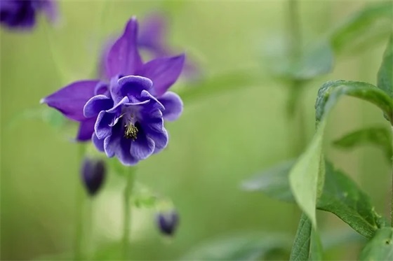 带墨字的男生网名
