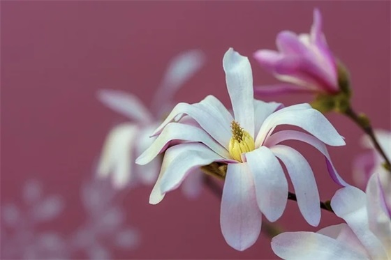 带墨的男孩网名名字