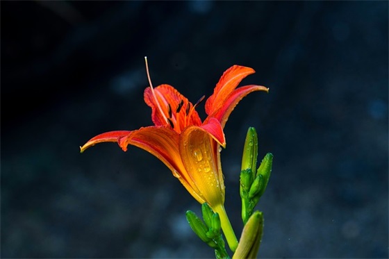 带沫和哲的网名大全