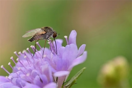带墨和符号的网名女孩