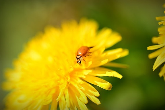 带砹防的网名昵称