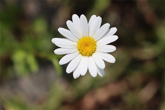 带滨墀的网名昵称