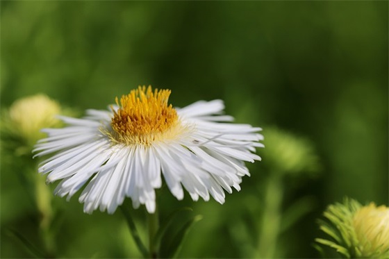 适合情侣发朋友圈的短句子(精选27条)