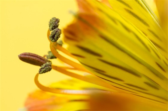 形容天气十分寒冷的经典句子(40条) 形容天气十分寒冷的经典句子(40条)