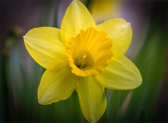 形容做错事情了很后悔的经典句子收藏四十条