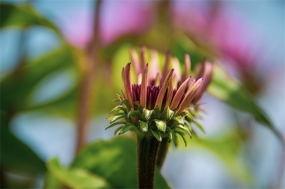 晒太阳享受暖阳余温的唯美句子收藏四十句