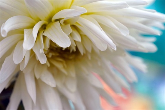 带茜和又的情侣网名