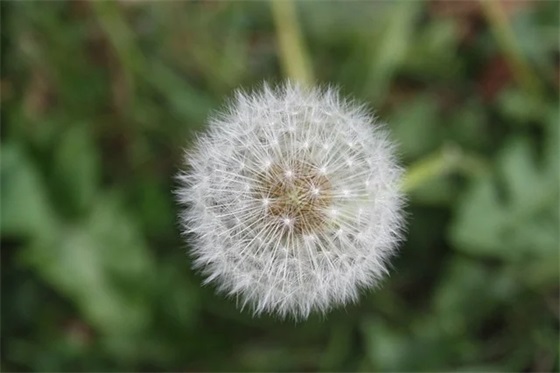 带浮生的6字网名