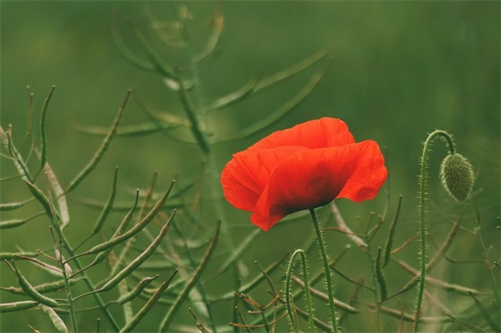 北京的朋友圈文案