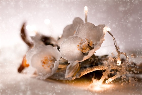 朋友圈感谢的文案