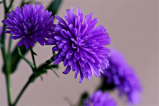 蓬莱发朋友圈的文案