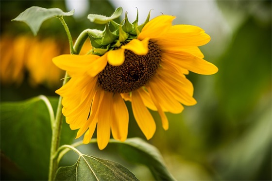 带山东人的网名女生 带山东人的网名女生