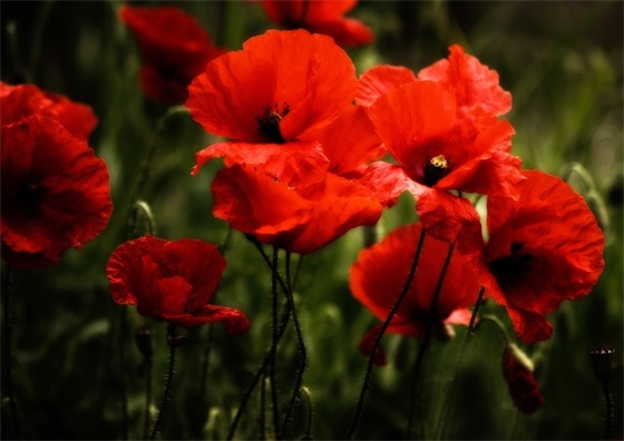 带保姆的网名大全女生 带保姆的网名大全女生