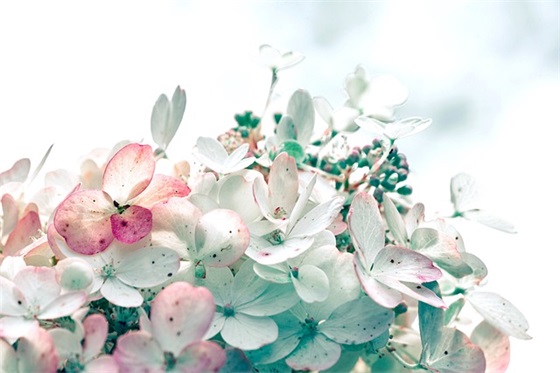 带口的女生网名