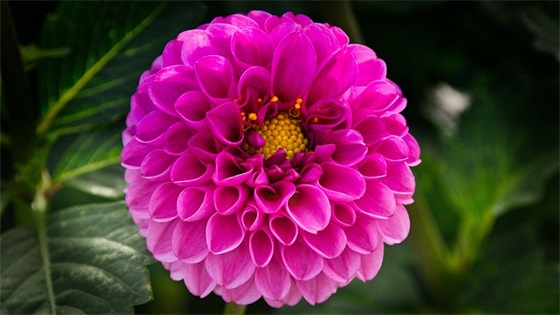 名字带情的女生网名大全