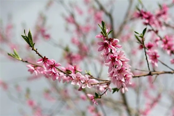 带中秋的双字网名女生