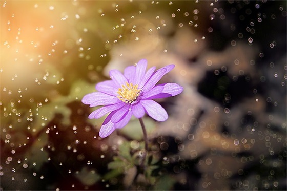 带双双字的网名女生 带双双字的网名女生