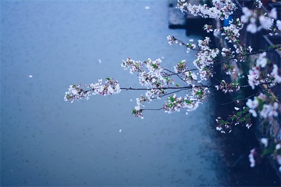 带小王和小张的网名女生 带小王和小张的网名女生